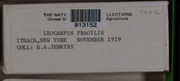 Image Associated With the Occurence